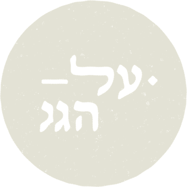 סטודיו על הגג